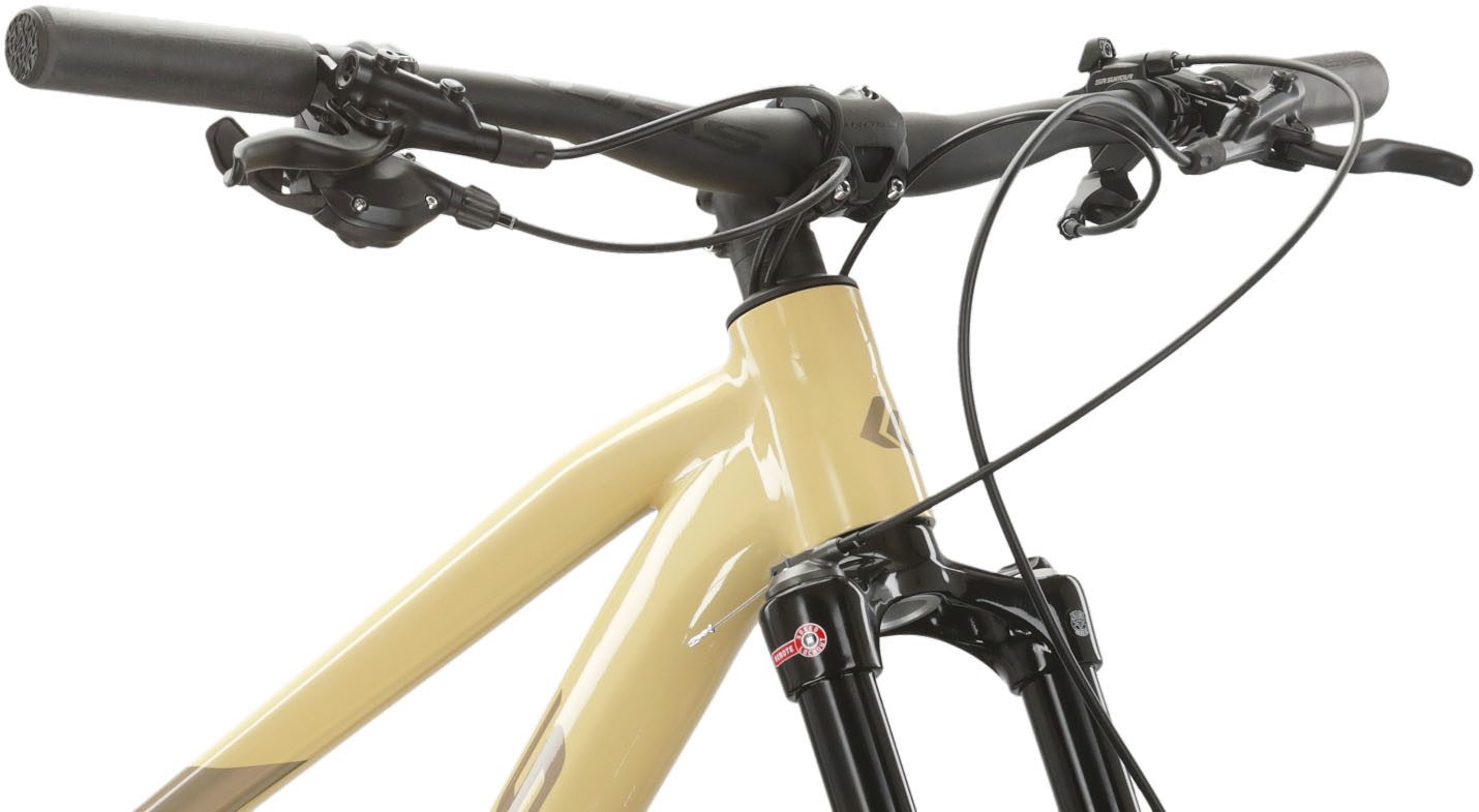 Kross Mountainbike KROSS MTB Hardtail Level 6.0 29" braun 12 Gänge, 12 Gang SRAM NX EAGLE Schaltwerk, Kettenschaltung