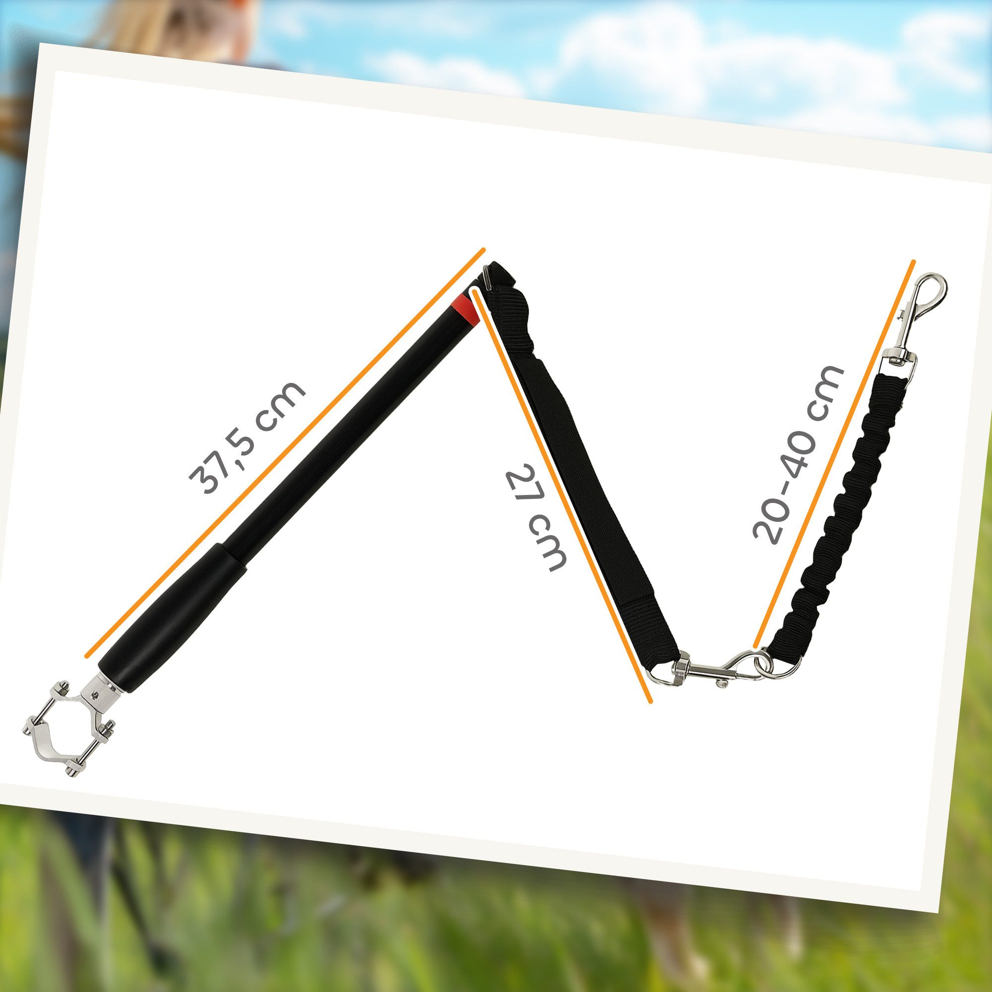 PawHut Fahrradleine für Hunde Einfache Installation und Demontage, Stahl, Polyester (Fahrrad Hundeleine, 1-tlg., Hundeleine), für Fahrrad, Radfahren, Training, Joggen, Schwarz