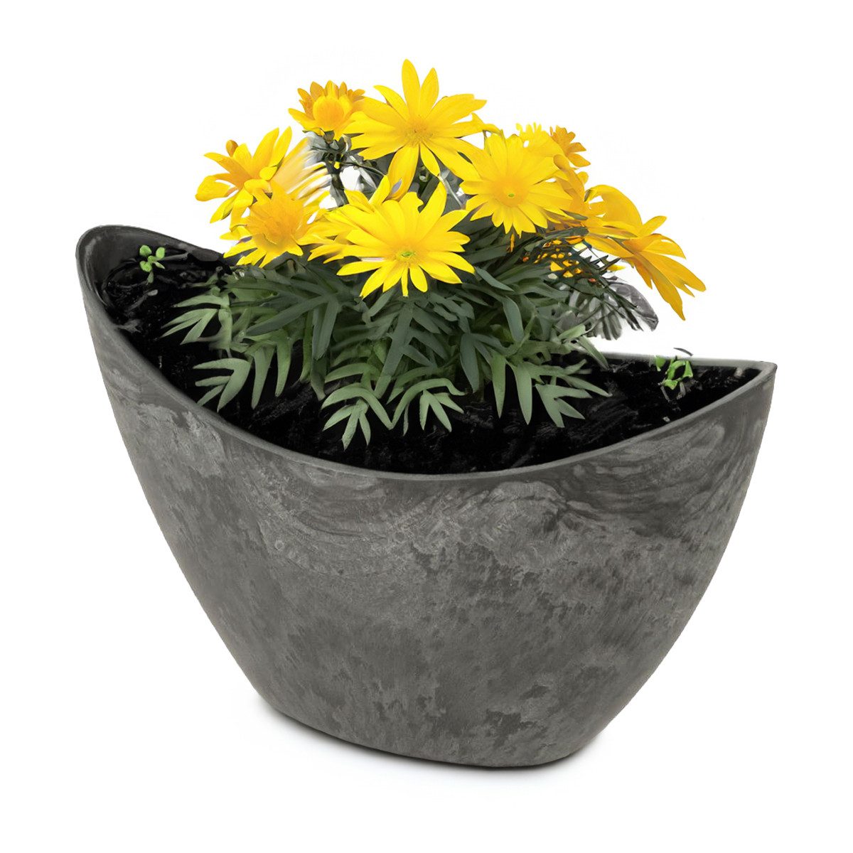 matches21 HOME & HOBBY Blumentopf Pflanzschale Jardiniere 24 cm oval Stein-Optik schwarz für außen (1 St), Outdoor Schiff Deko-Schale als Blumen-Schale Pflanz-Topf Garten-Deko