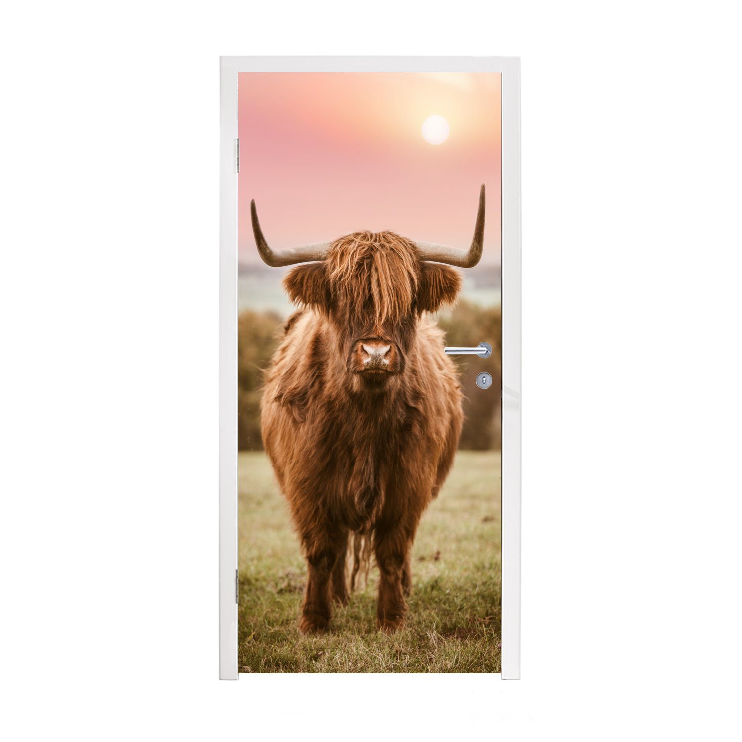 MuchoWow Türtapete Schottischer Highlander - Sonne - Himmel, Matt, bedruckt, (1 St), Fototapete für Tür, Türaufkleber, 75x205 cm | Türtapeten