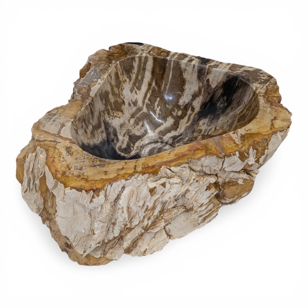 Kinaree Aufsatzwaschbecken Versteinertes Holz Waschbecken #22, poliert, Naturstein, Beige, Braun, Grau, Bruchstein Optik