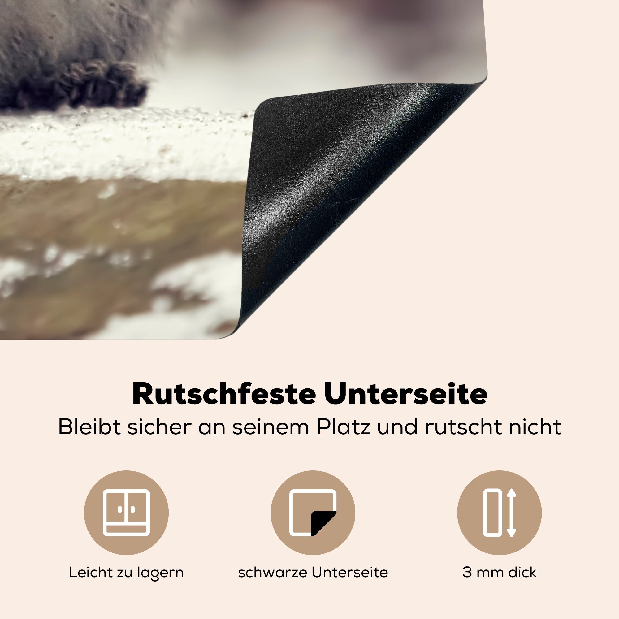 Eichhörnchen Herdblende-/Abdeckplatte tlg), 78x78 für MuchoWow cm, Wildtier Winter, (1 Arbeitsplatte Ceranfeldabdeckung, - - küche Vinyl,