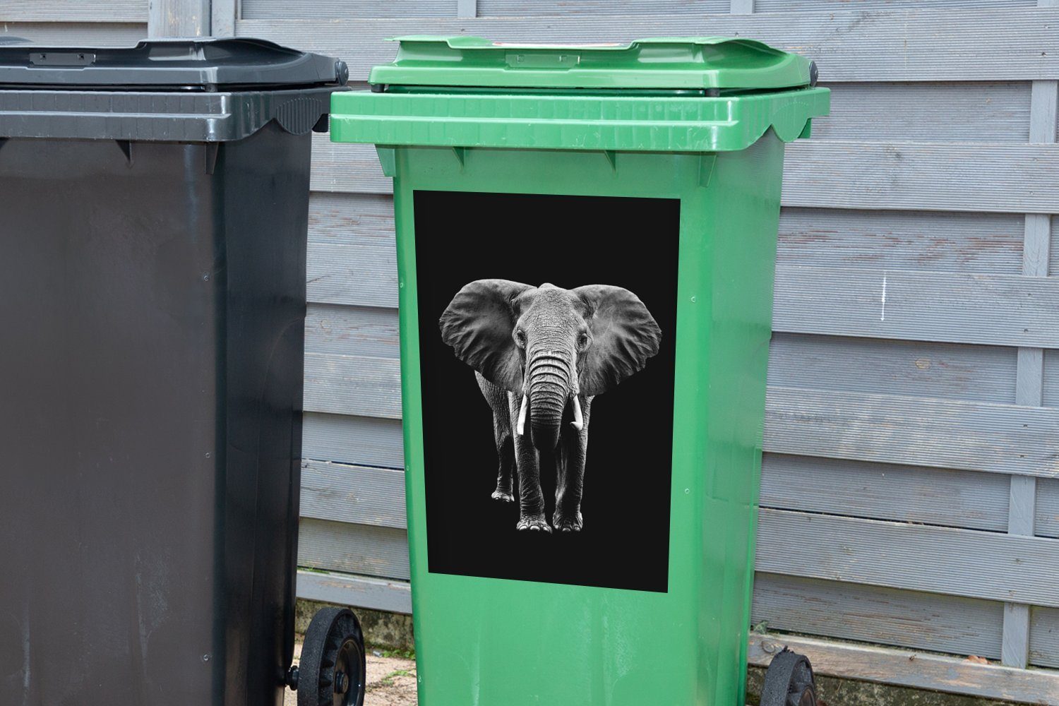 Abfalbehälter Wandsticker Mülleimer-aufkleber, mit St), vor großen weiß MuchoWow und - Hintergrund Ohren Sticker, schwarzem Elefant schwarz Mülltonne, Container, (1