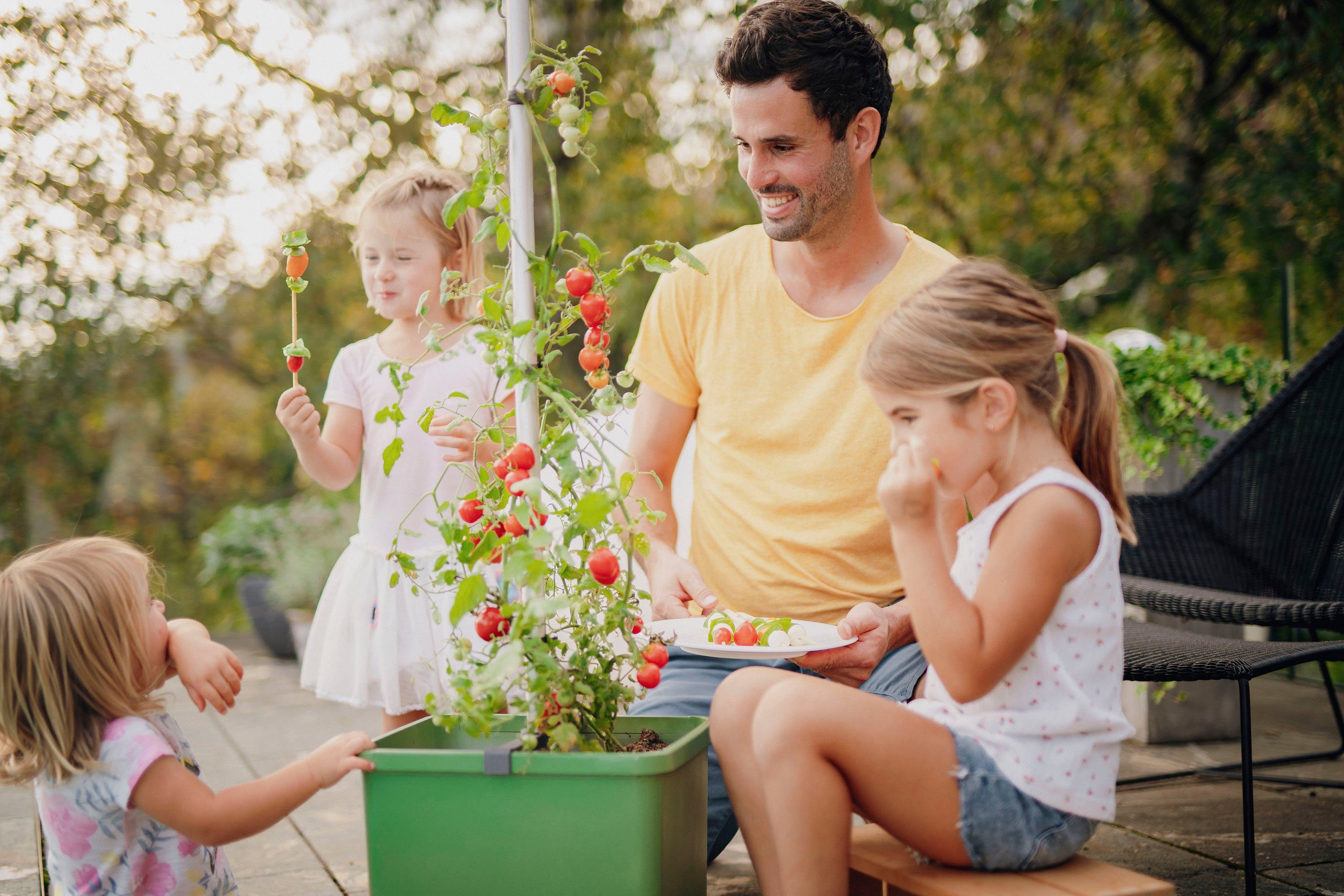 Tomatentopf, Wassertank & Pflanzkübel mit TOMATO TOM dunkelgrün Gusta Rankhilfe Garden