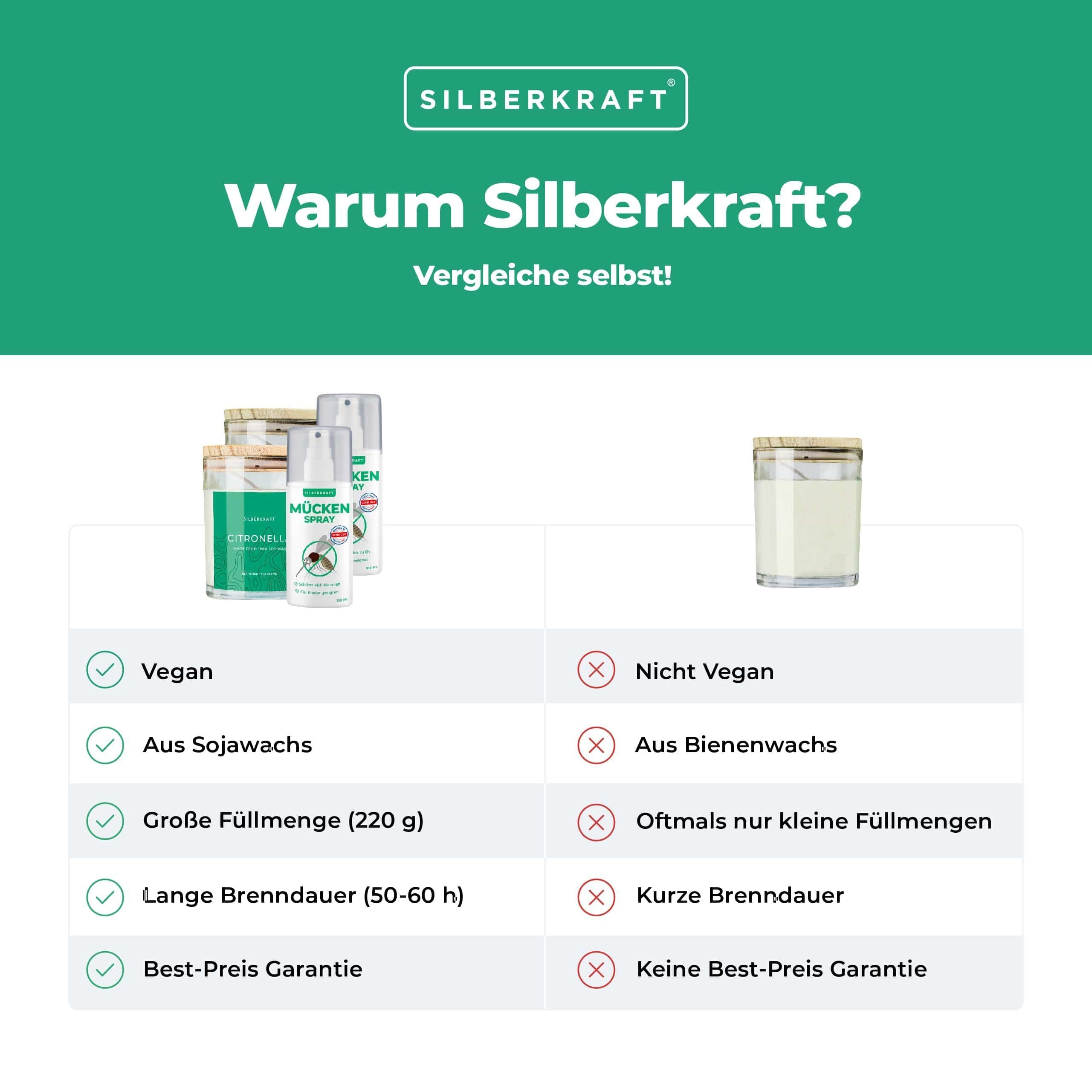 1-St. Insektenspray 100ml, 100 Silberkraft Mückenspray ml,