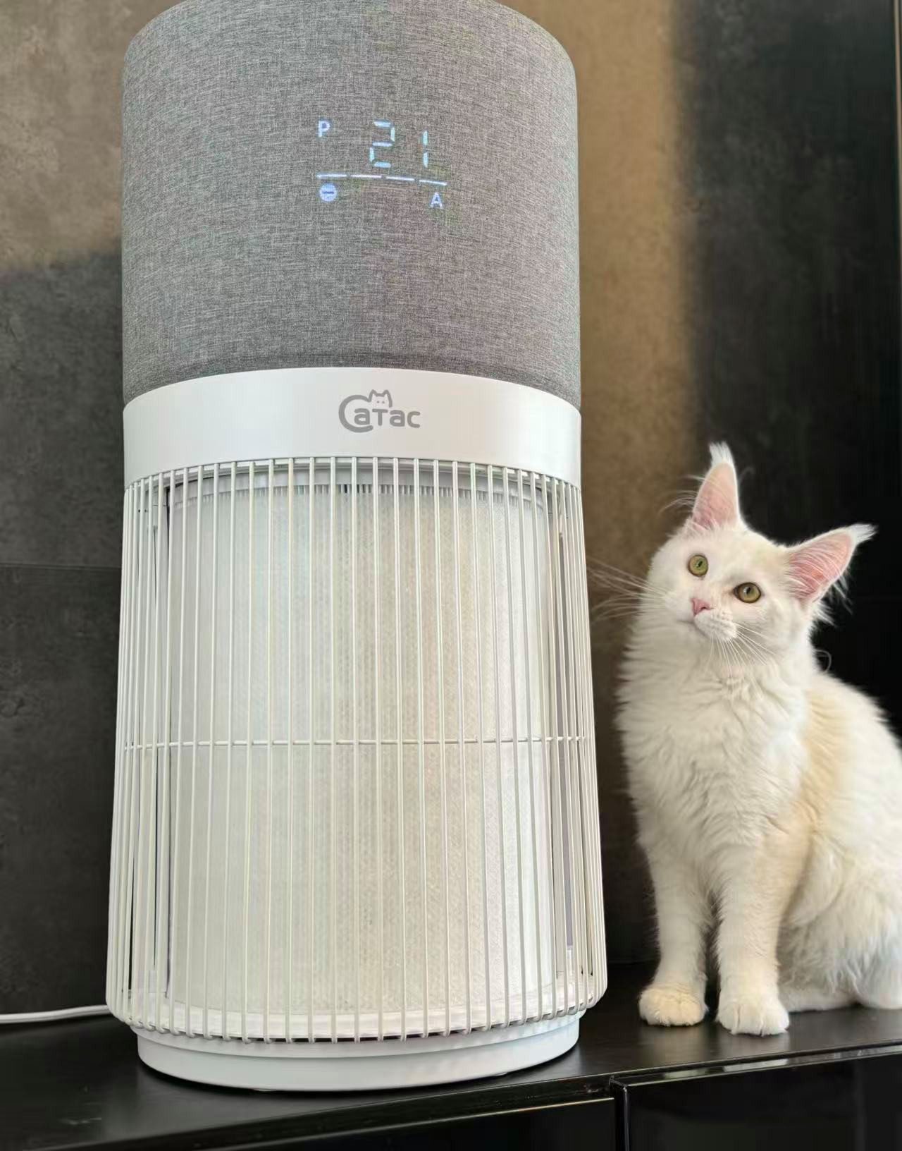 Catac Elektrostatik-Luftreiniger Luftreiniger für Schlafzimmer Zuhause