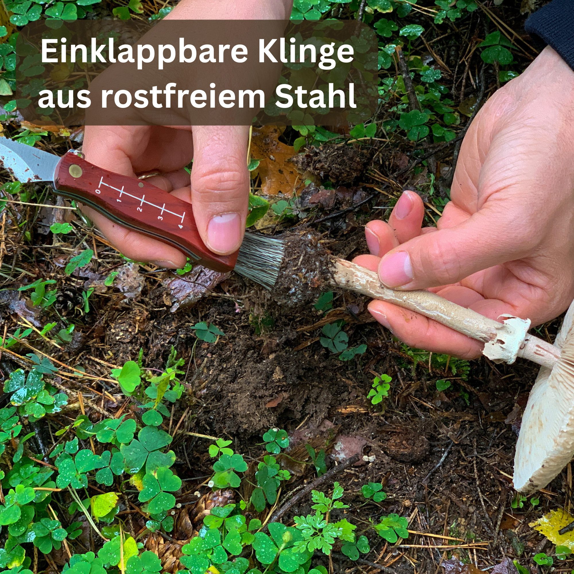 Khroom Taschenmesser Pilzmesser mit Bürste zum aufklappen, Schwammerlmesser Klappmesser, (Mit / Ohne Tasche, zum aufklappen), polizeigeprüft