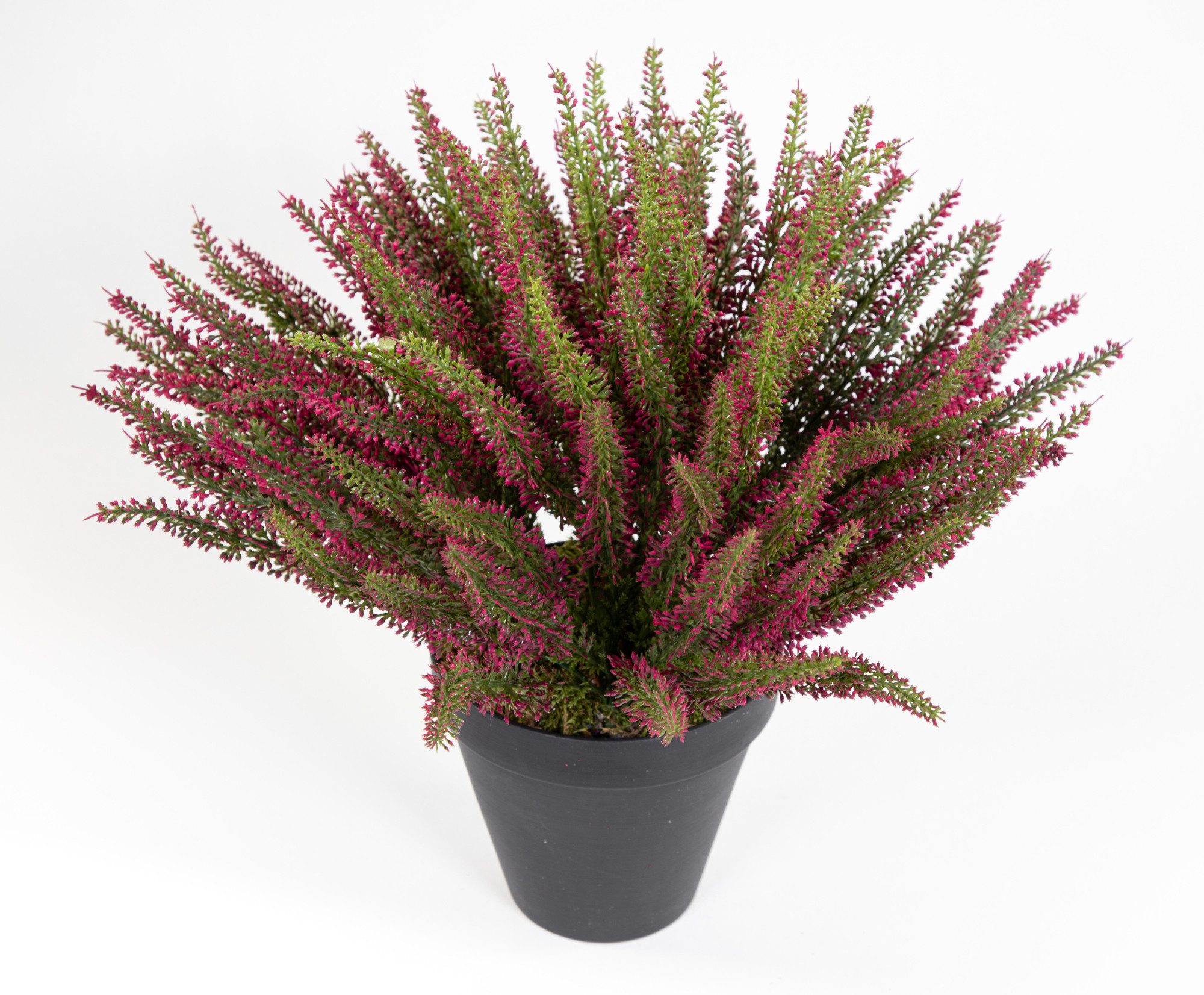 Kunstblume Großes Erika / Heidekraut 42x36cm im Topf DP künstliche Pflanze Blumen Erikabusch Kunstpflanzen, Seidenblumen Roß, Farbe: Fuchsia