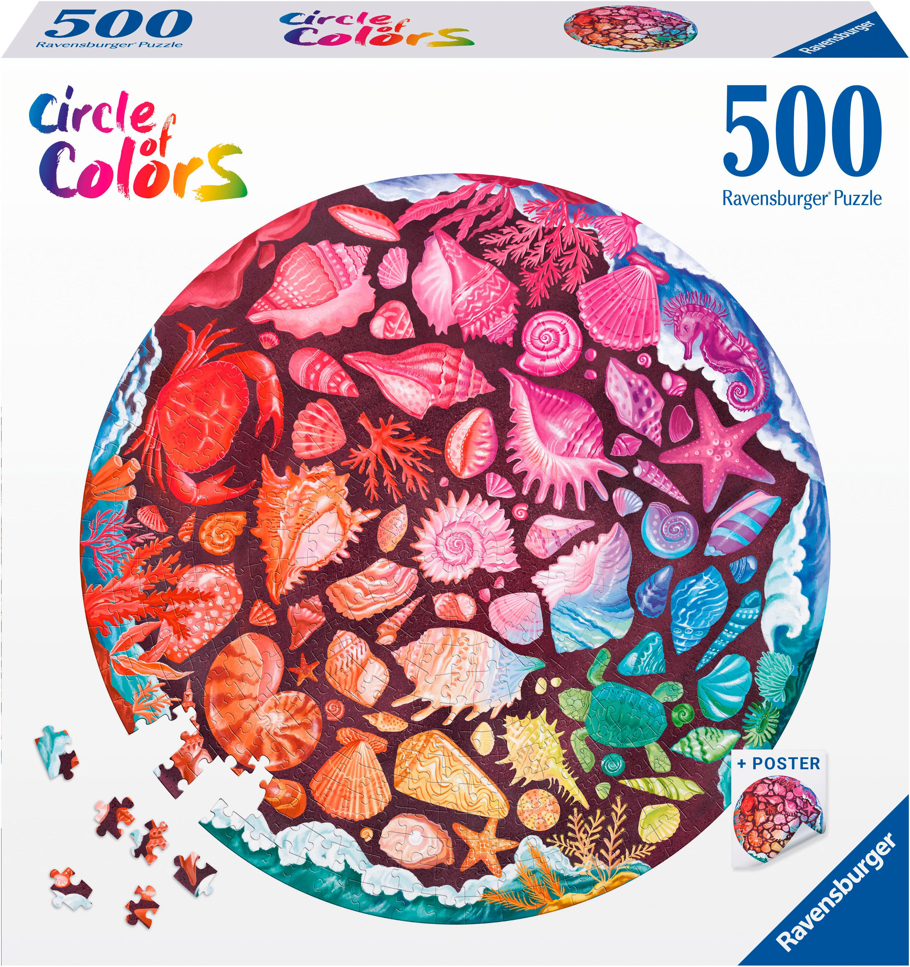 Puzzle Seashells