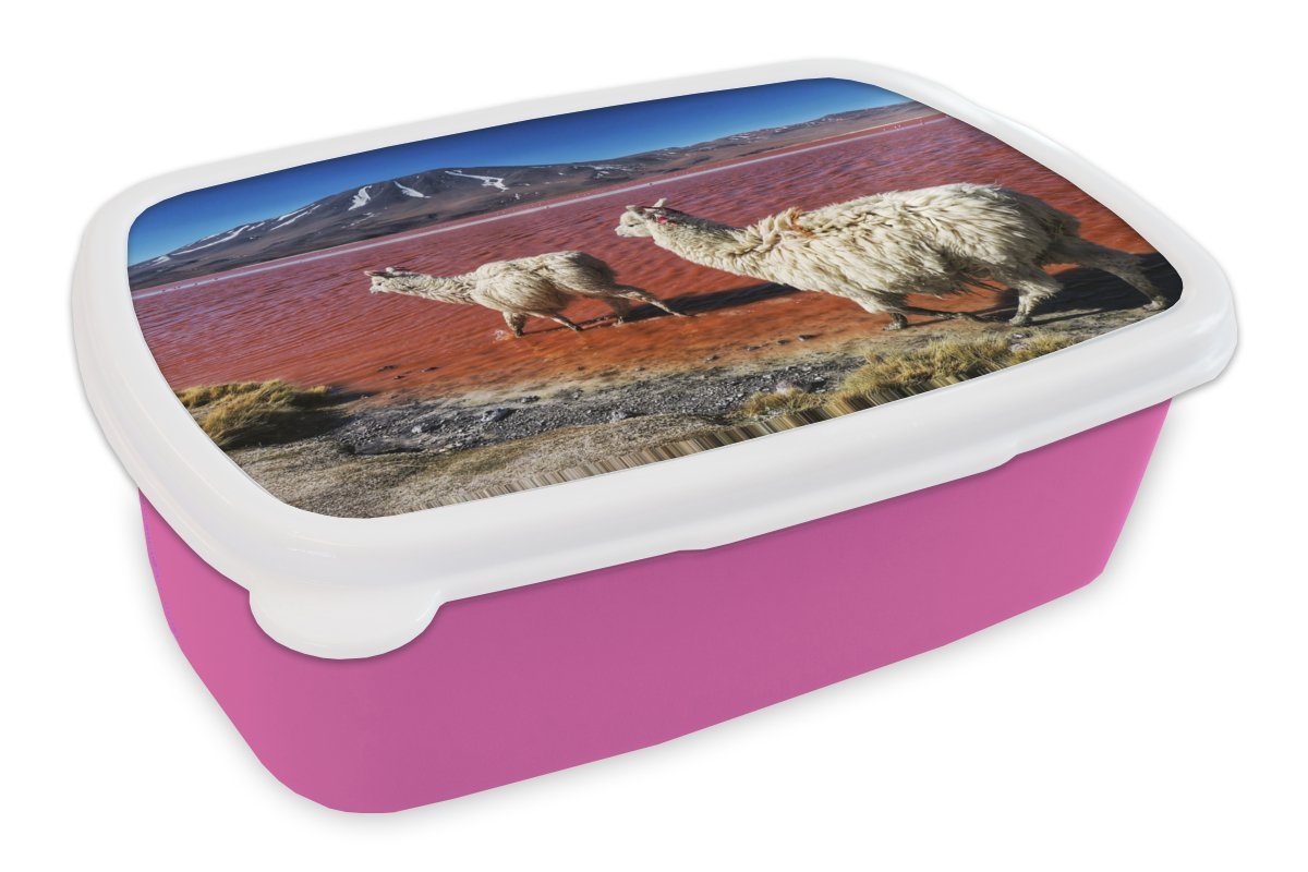 MuchoWow Lunchbox Alpakas - Rot - Berg, Kunststoff, (2-tlg), Brotbox für Erwachsene, Brotdose Kinder, Snackbox, Mädchen, Kunststoff rosa