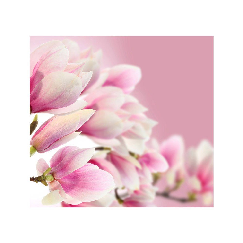 Blume Natur rosa no. Pflanzen 14, Magnolie Fototapete liwwing Orchidee Fototapete Blumen Blumenranke