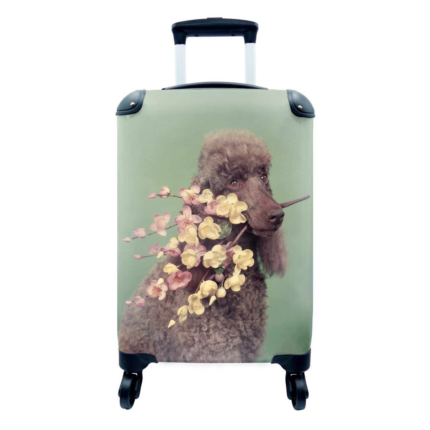 MuchoWow Handgepäckkoffer Vintage-Porträt eines Pudels mit einem Blumenzweig im Maul, 4 Rollen, Reisetasche mit rollen, Handgepäck für Ferien, Trolley, Reisekoffer