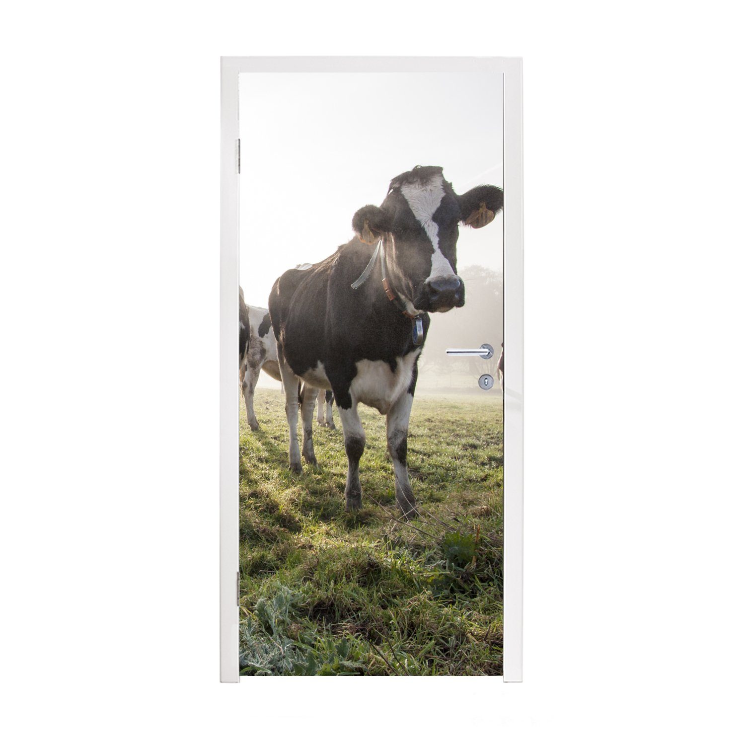 MuchoWow Türtapete Kuh - Gras - Nebel, Matt, bedruckt, (1 St), Fototapete für Tür, Türaufkleber, 75x205 cm | Türtapeten