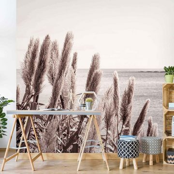 Bilderdepot24 Fototapete Blumen Madeira Blumentapete Floral Natur Modern Kunst Strand Meer, Glatt, Matt, (Vliestapete inkl. Kleister oder selbstklebend), Wohnzimmer Schlafzimmer Küche Flur Motivtapete Vliestapete Wandtapete