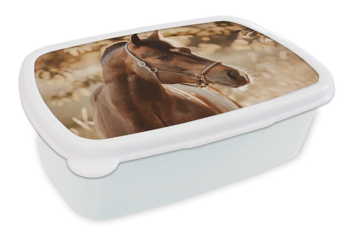 MuchoWow Lunchbox Pferd - Sonne - Porträt - Natur - Braun, Kunststoff, (2-tlg), Brotbox für Kinder und Erwachsene, Brotdose, für Jungs und Mädchen weiß