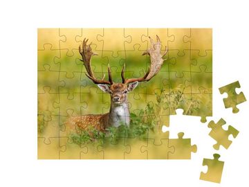 puzzleYOU Puzzle Majestätischer Damhirsch im Herbstwald, Dänemark, 48 Puzzleteile, puzzleYOU-Kollektionen Hirsche, Tiere in Wald & Gebirge