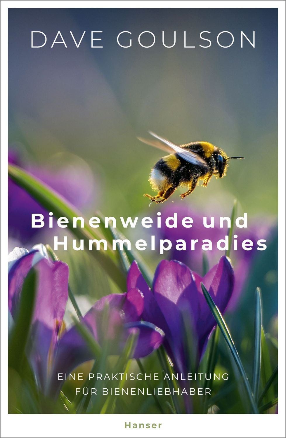 Bienenweide und Hummelparadies / Dave Goulson, Eine praktische Anleitung für Bienenliebhaber