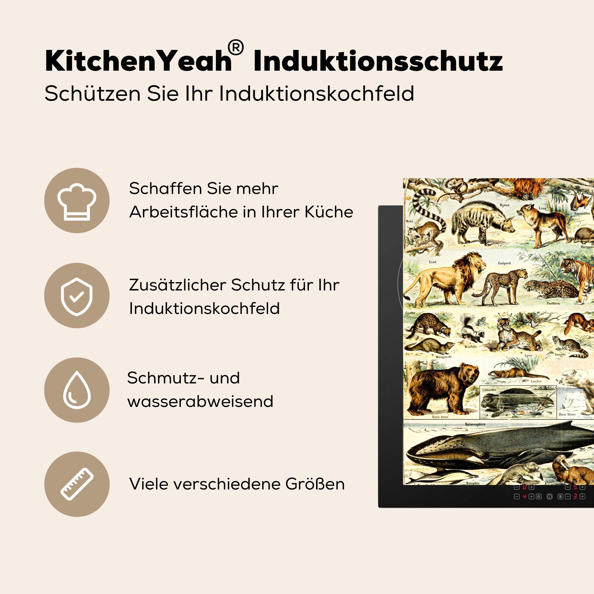 Ceranfeldabdeckung cm, Induktionskochfeld - für küche, Löwe, Vinyl, 81x52 Herdblende-/Abdeckplatte Giraffe (1 Tiere - Schutz die MuchoWow tlg),