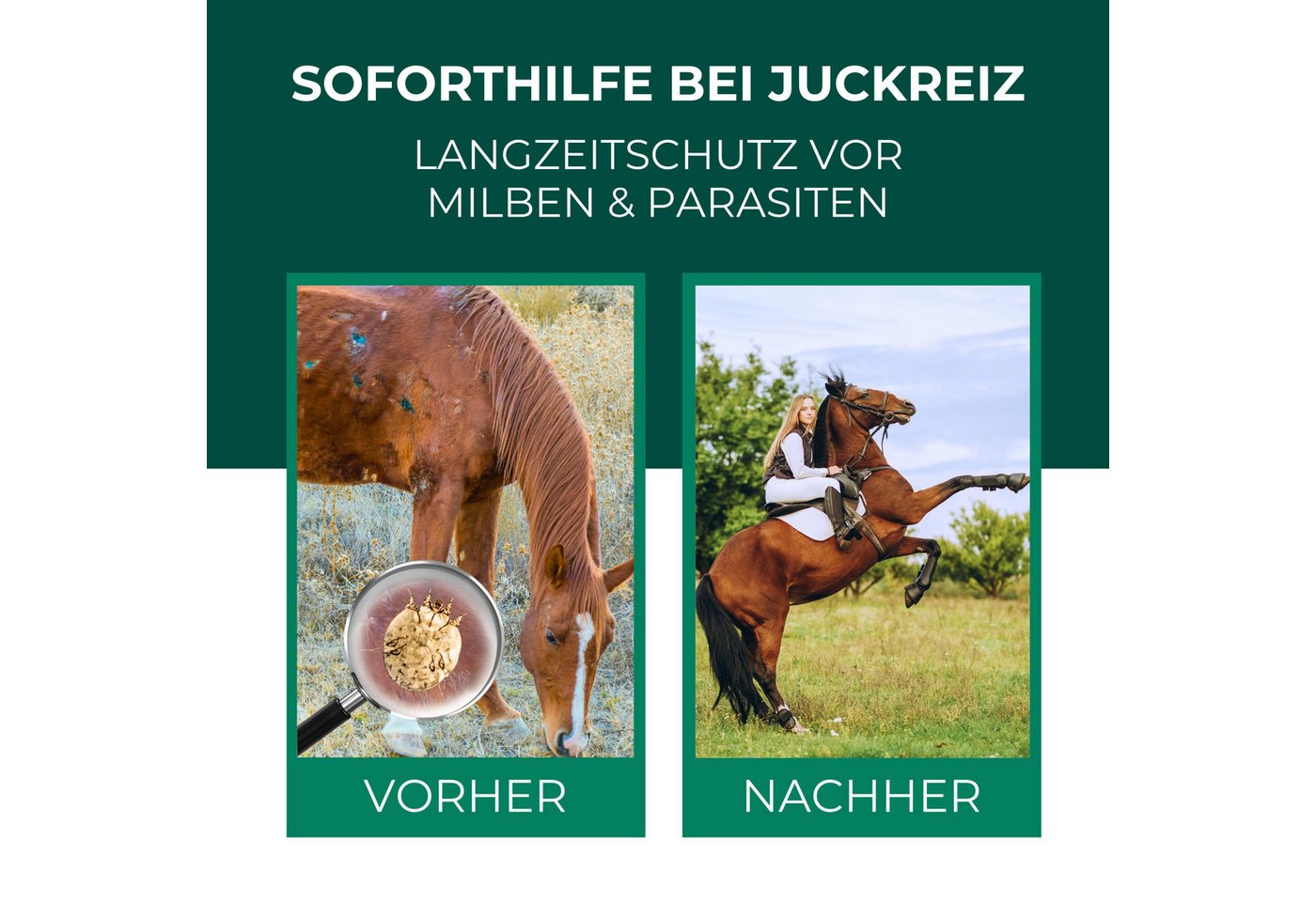 Thumbnail - Silberkraft Insektenspray Milbenspray Pferde, 500 ml, 4-St., gegen Milben, Flöhe & Läuse, wirksame Formel zur Insektenab...