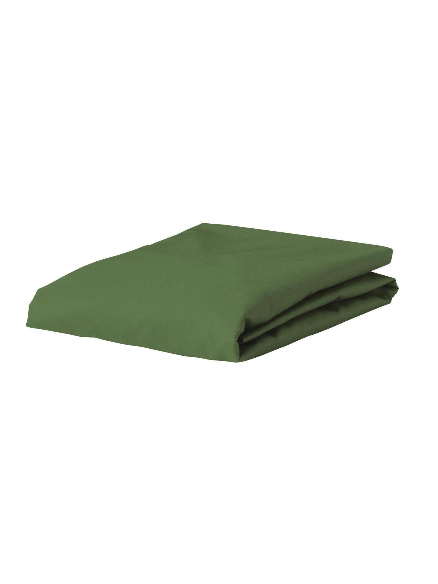 Essenza Spannbettlaken Premium Percale, Perkal, Gummizug: günstig online kaufen