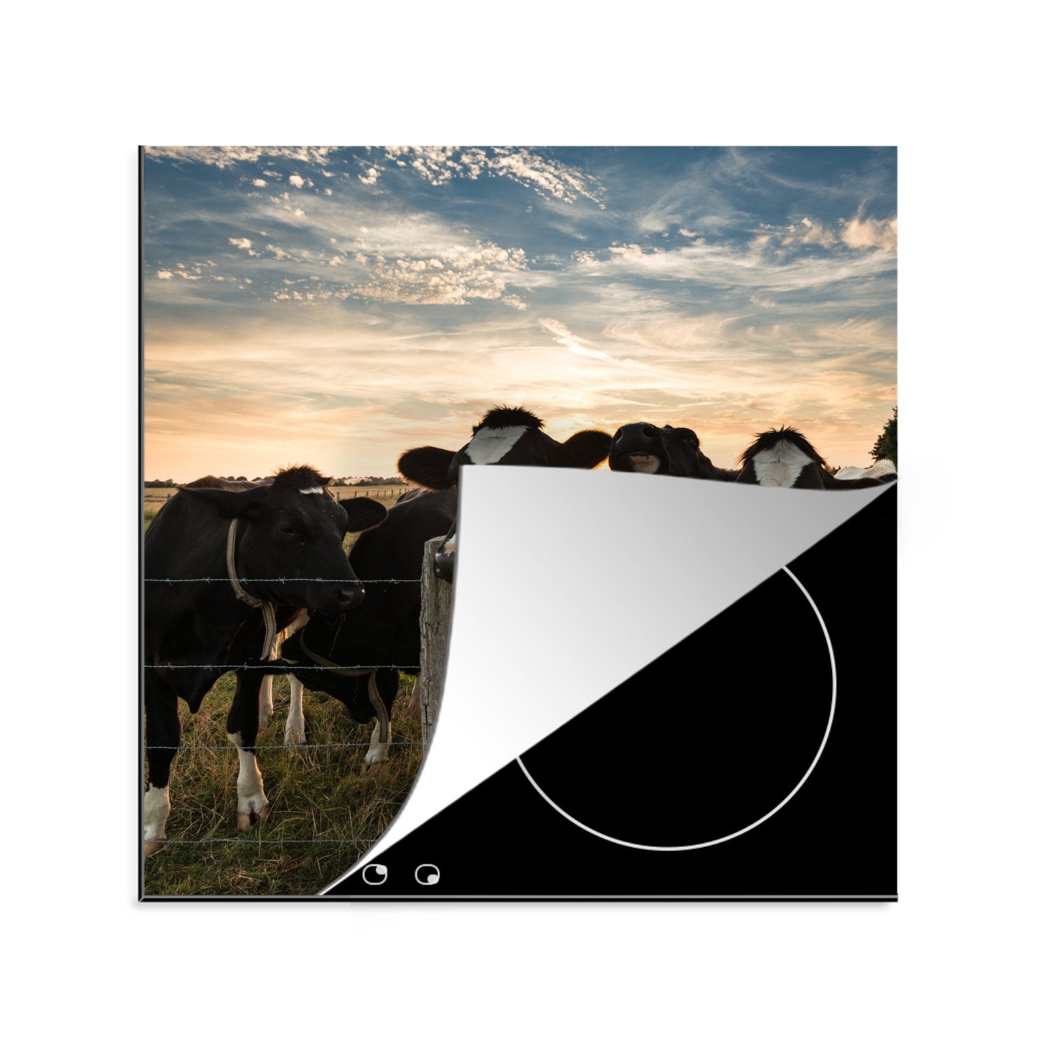 - Kühe Bauernhof, Herdblende-/Abdeckplatte Vinyl, (1 Ceranfeldabdeckung, - Induktionsmatte küche tlg), Induktionsschutz - MuchoWow 78x78 cm, Arbeitsplatte für