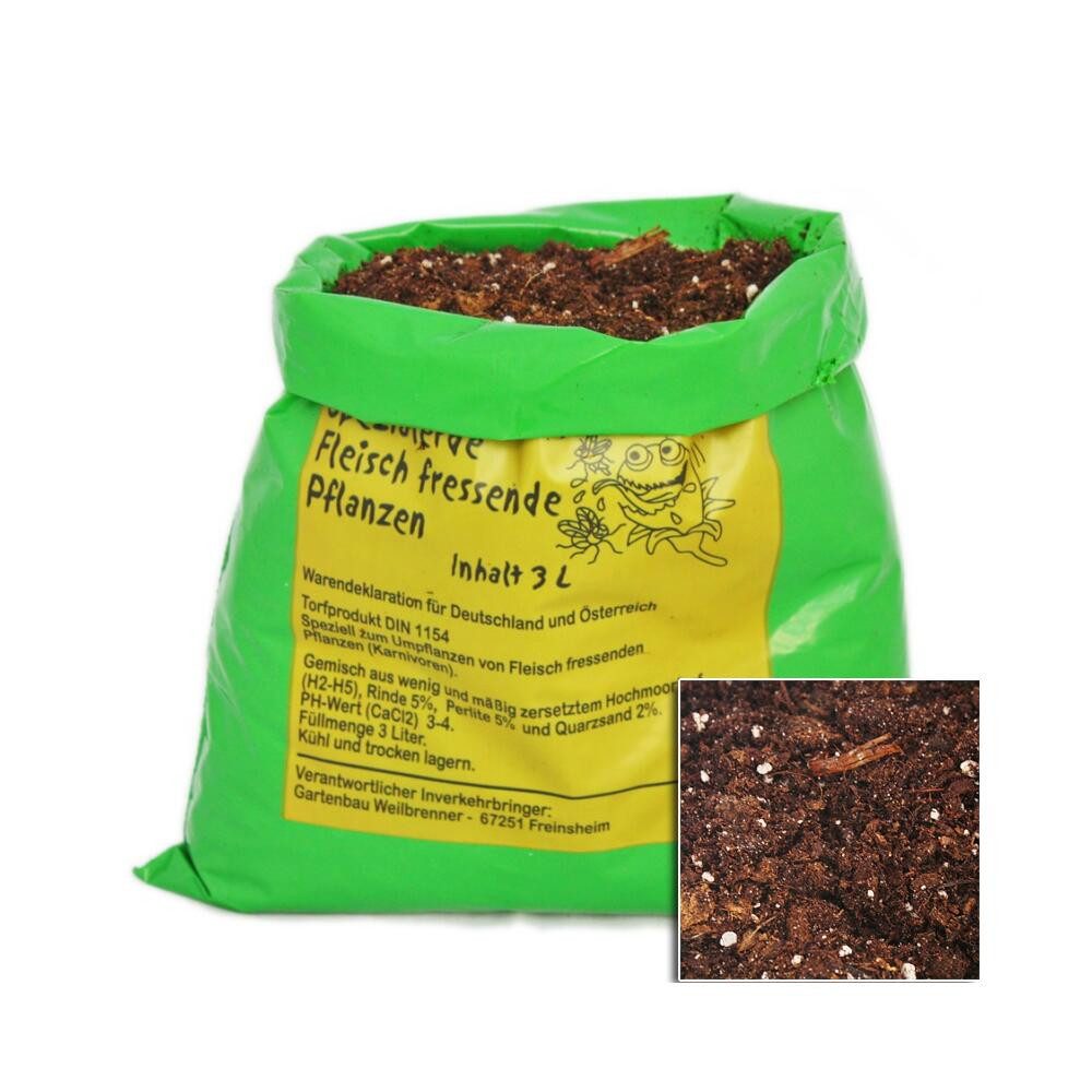 Exotenherz Zimmerpflanze Starter Set Fleischfressende Pflanzen 5 Pflanzen + günstig online kaufen