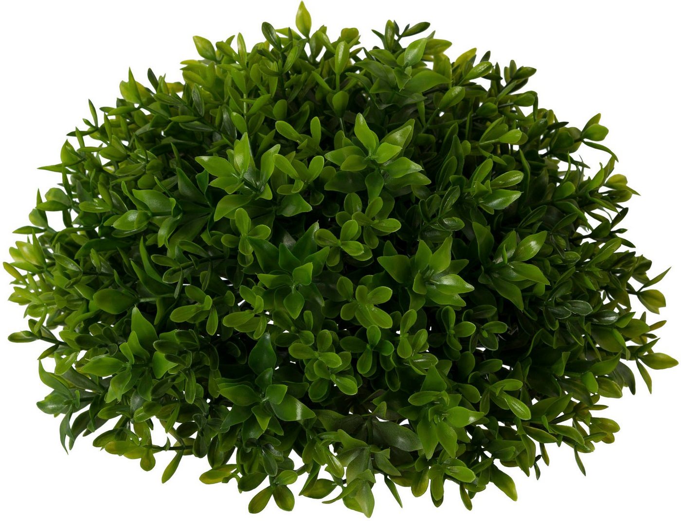 Kunstpflanze »Buchsbaumhalbkugel«, Creativ green, Höhe 12 cm, 2er Set-HomeTrends