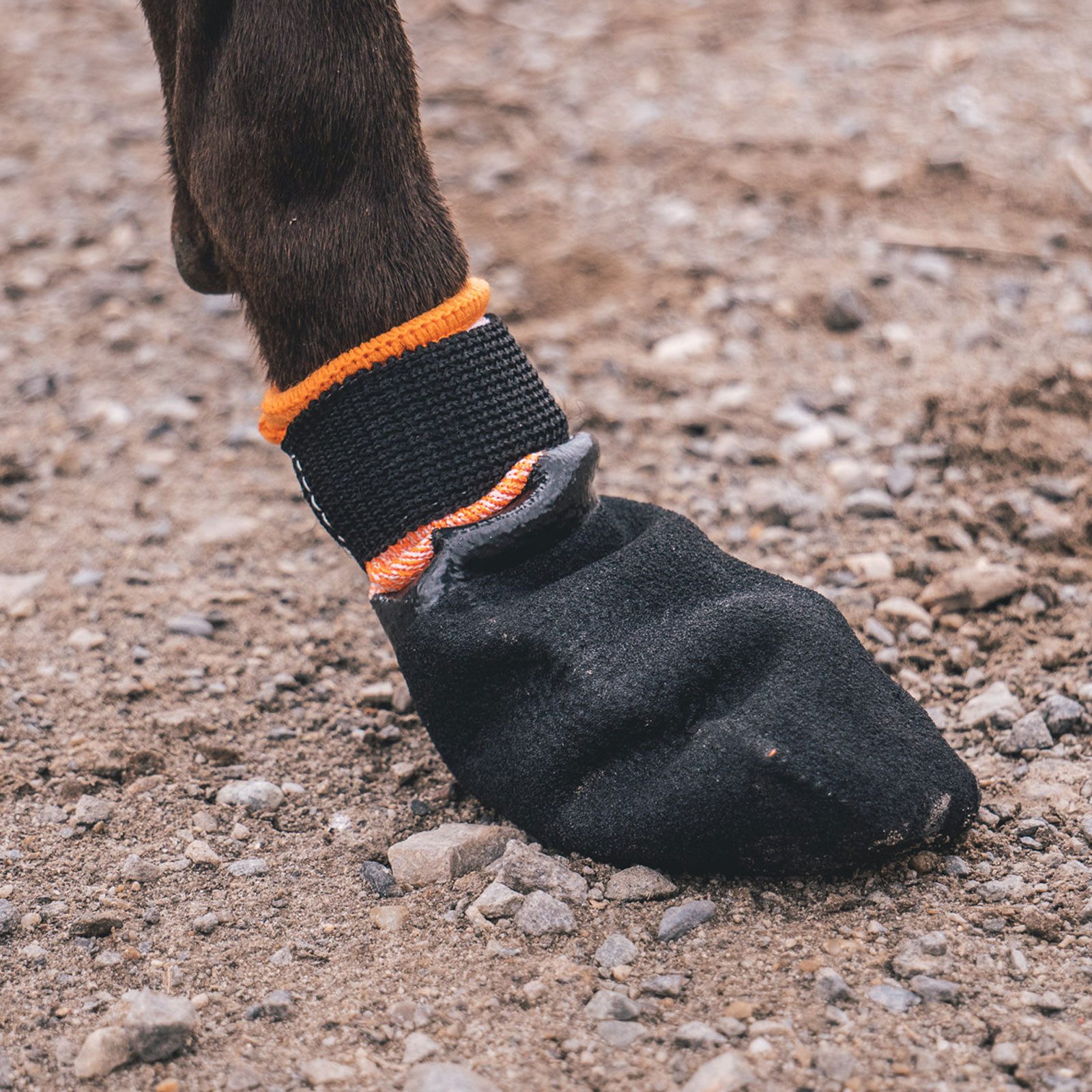 Non-stop dogwear Pfotenschutz PROTECTOR Booties 4er Pack, Hundebooties aus extrem schnittfestem Material