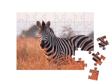 puzzleYOU Puzzle Steppenzebra im Kruger-Nationalpark in Südafrika, 48 Puzzleteile, puzzleYOU-Kollektionen Zebras, Safari, Savanne