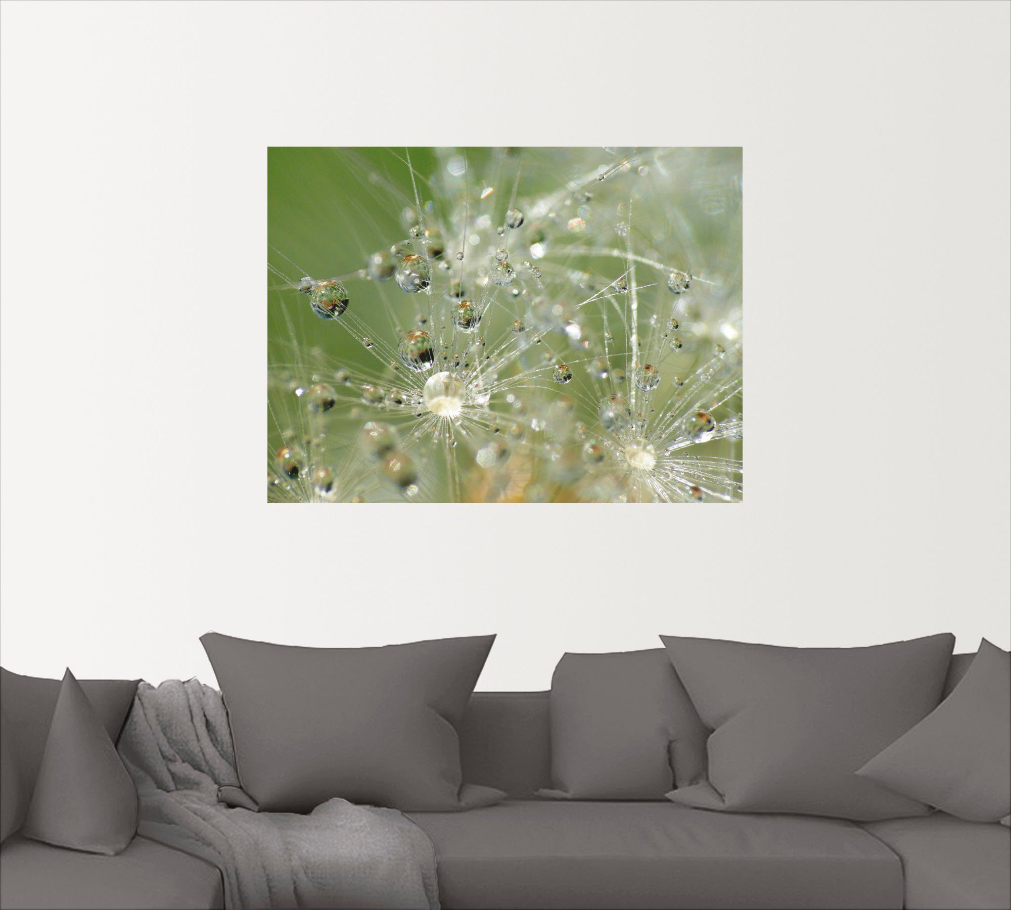 in Wandbild Artland Leinwandbild, Blumen Wandaufkleber (1 als St), Poster oder Pusteblume, versch. Wassertropfen Größen