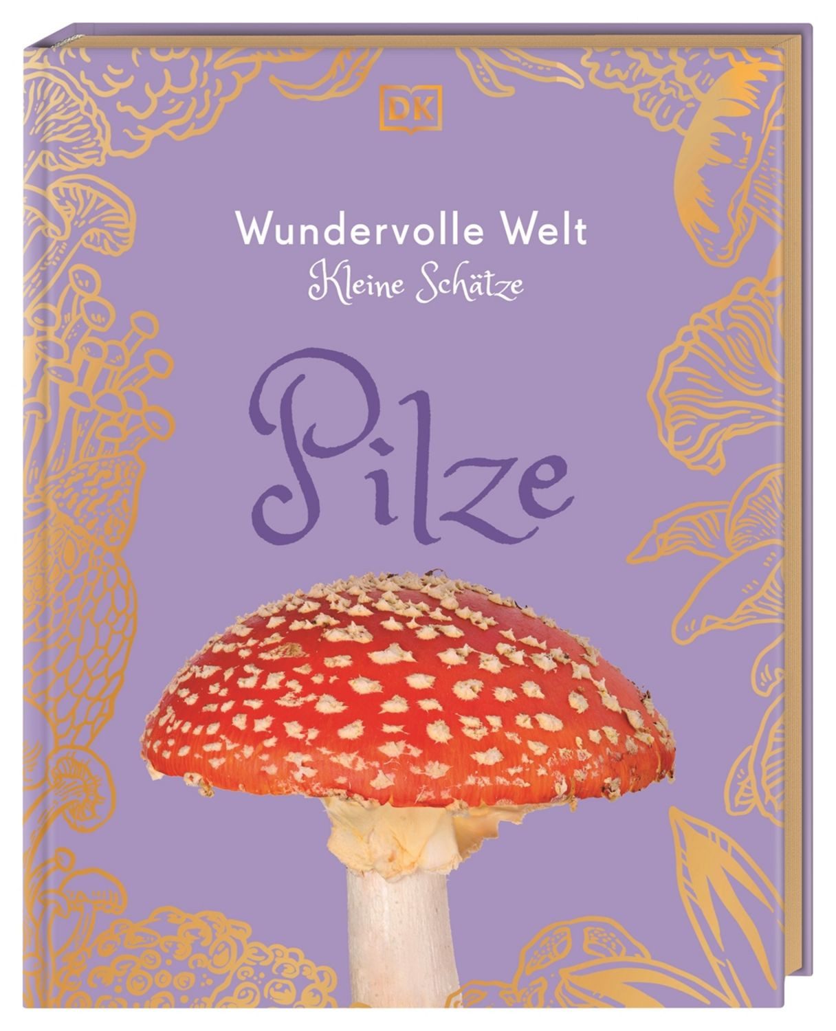 Wundervolle Welt – Kleine Schätze. Pilze / Ali Ashby, Lynne Boddy