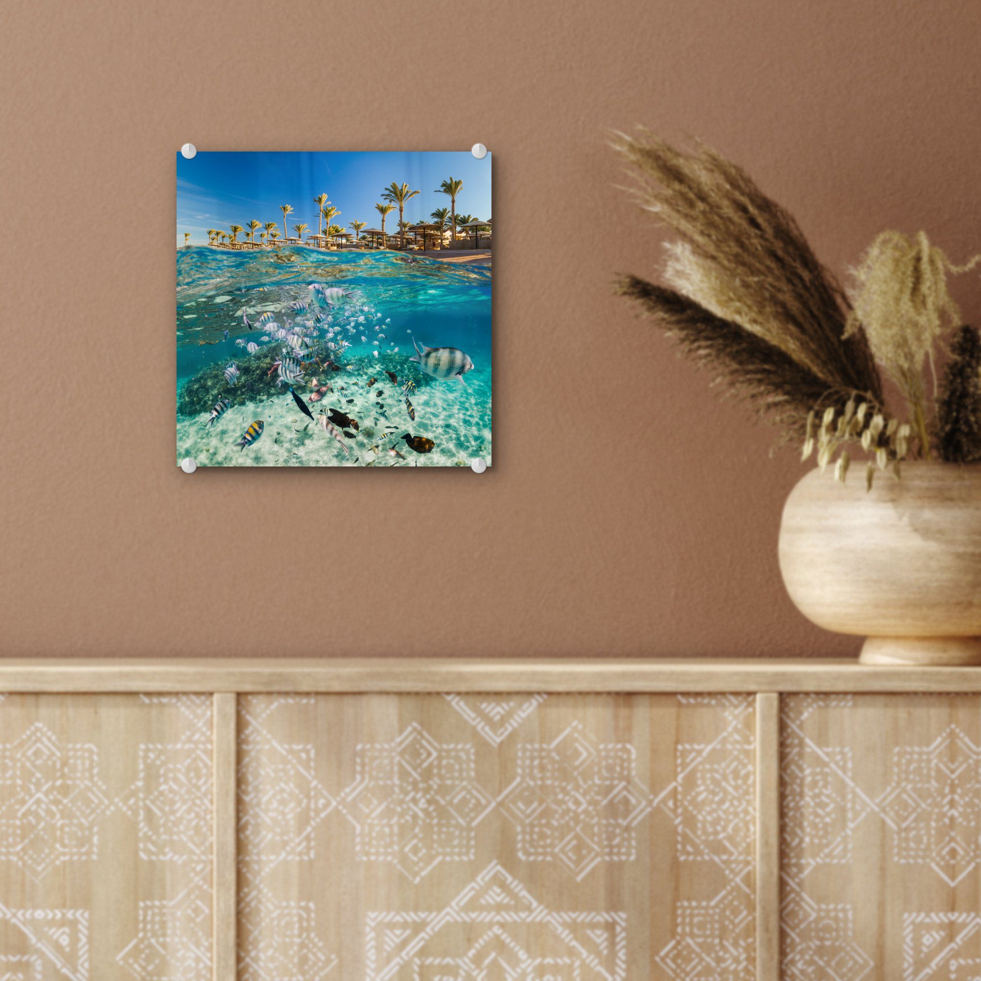 (1 - - Wandbild Ägypten, Wanddekoration auf Glas - Fisch - auf St), Bilder - Meer Glas Foto Acrylglasbild MuchoWow Glasbilder