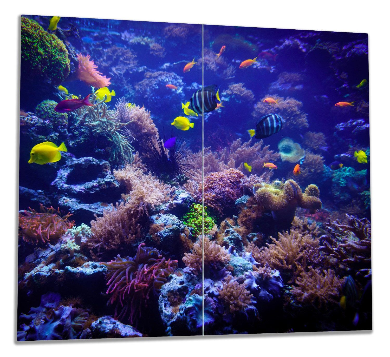 Wallario Herd-Abdeckplatte Farbenwelt unter Wasser, ESG-Sicherheitsglas, (Glasplatte, 2 tlg., inkl. 5mm Noppen), verschiedene Größen