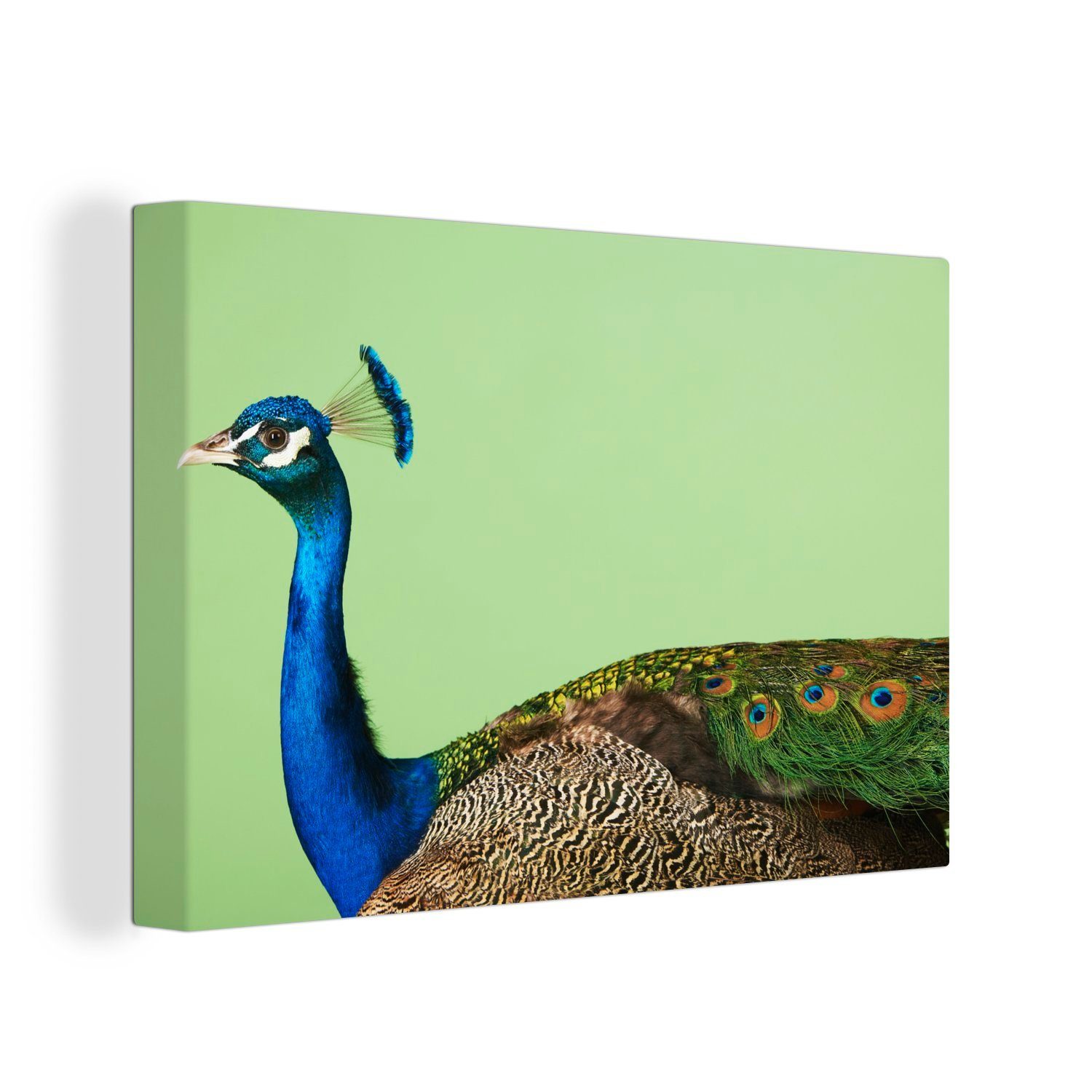 OneMillionCanvasses® Leinwandbild Pfau Leinwandbilder, - (1 Aufhängefertig, St), - Wandbild cm Tiere 30x20 Grün, Wanddeko