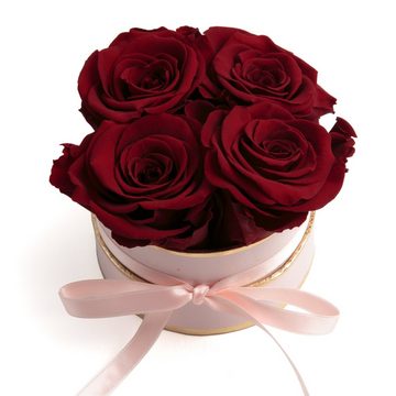 Kunstblume Infinity Rosenbox rosa rund 4 konservierte Rosen Geschenk für Frauen Rose, ROSEMARIE SCHULZ Heidelberg, Höhe 10 cm, echte konservierte Rosen