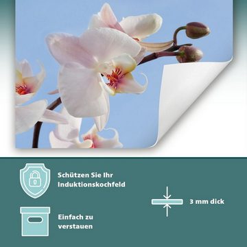 Decorwelt Herd-Abdeckplatte Herdabdeckplatte Kunststoff Aufrollbare Matte Küche Orchidee Blau, (30x52, 1 tlg), für alle Herdarten excl. Gasherde