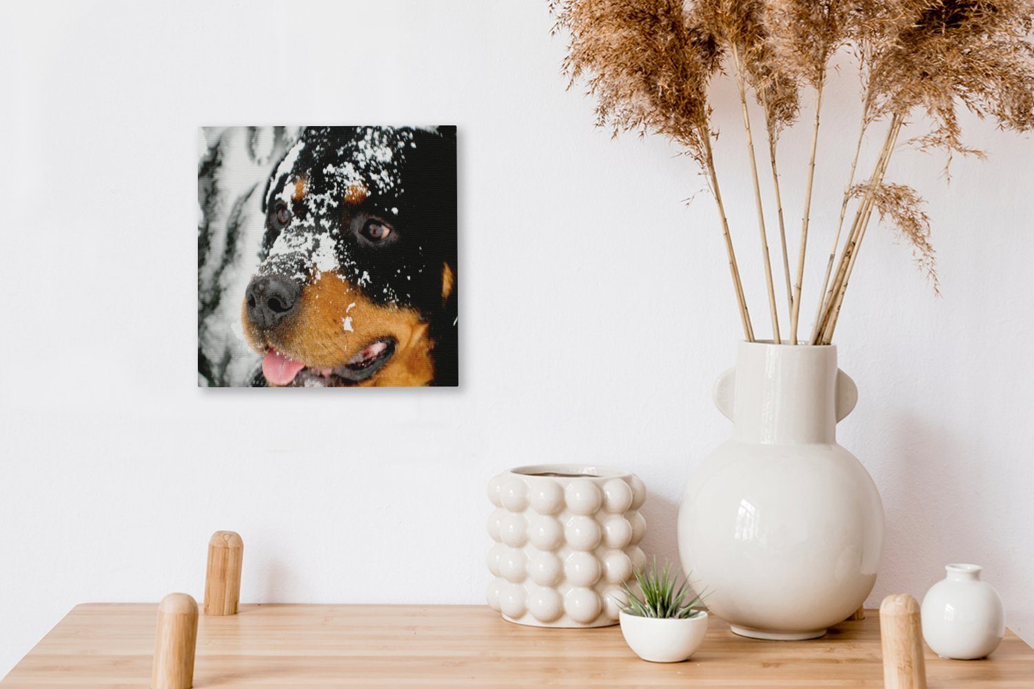 Rottweiler Wohnzimmer (1 Leinwand Schöner im St), Schlafzimmer für OneMillionCanvasses® Schnee, Bilder Leinwandbild