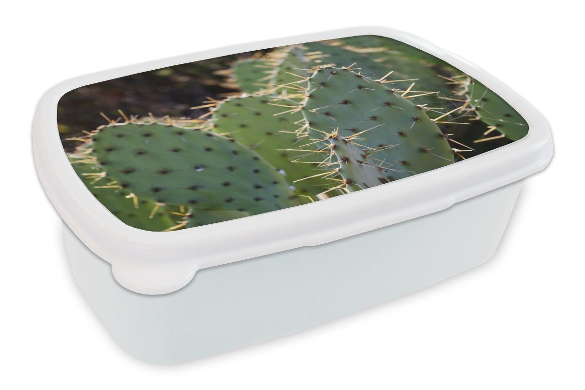 Mädchen Brotbox für und (2-tlg), weiß Jungs Lunchbox Botanischer Kunststoff, und Fotodruck, für Brotdose, Erwachsene, MuchoWow Kinder Kaktus