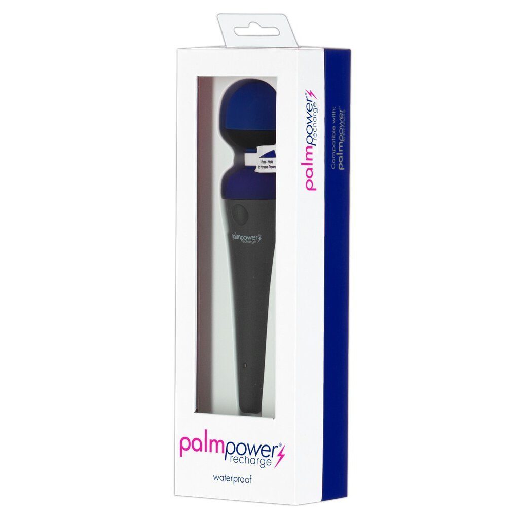 PalmPower Wand Massager PalmPower recharge Blue