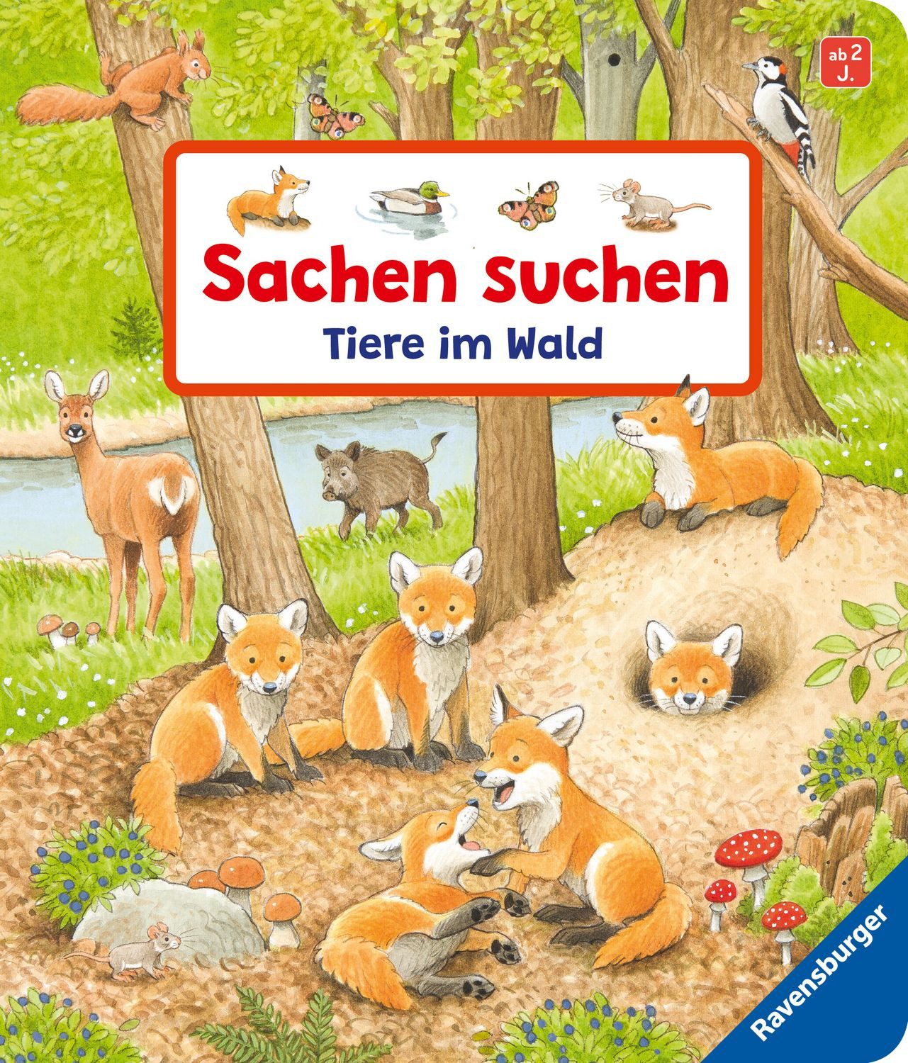 Sachen suchen - Tiere im Wald / Susanne Gernhäuser