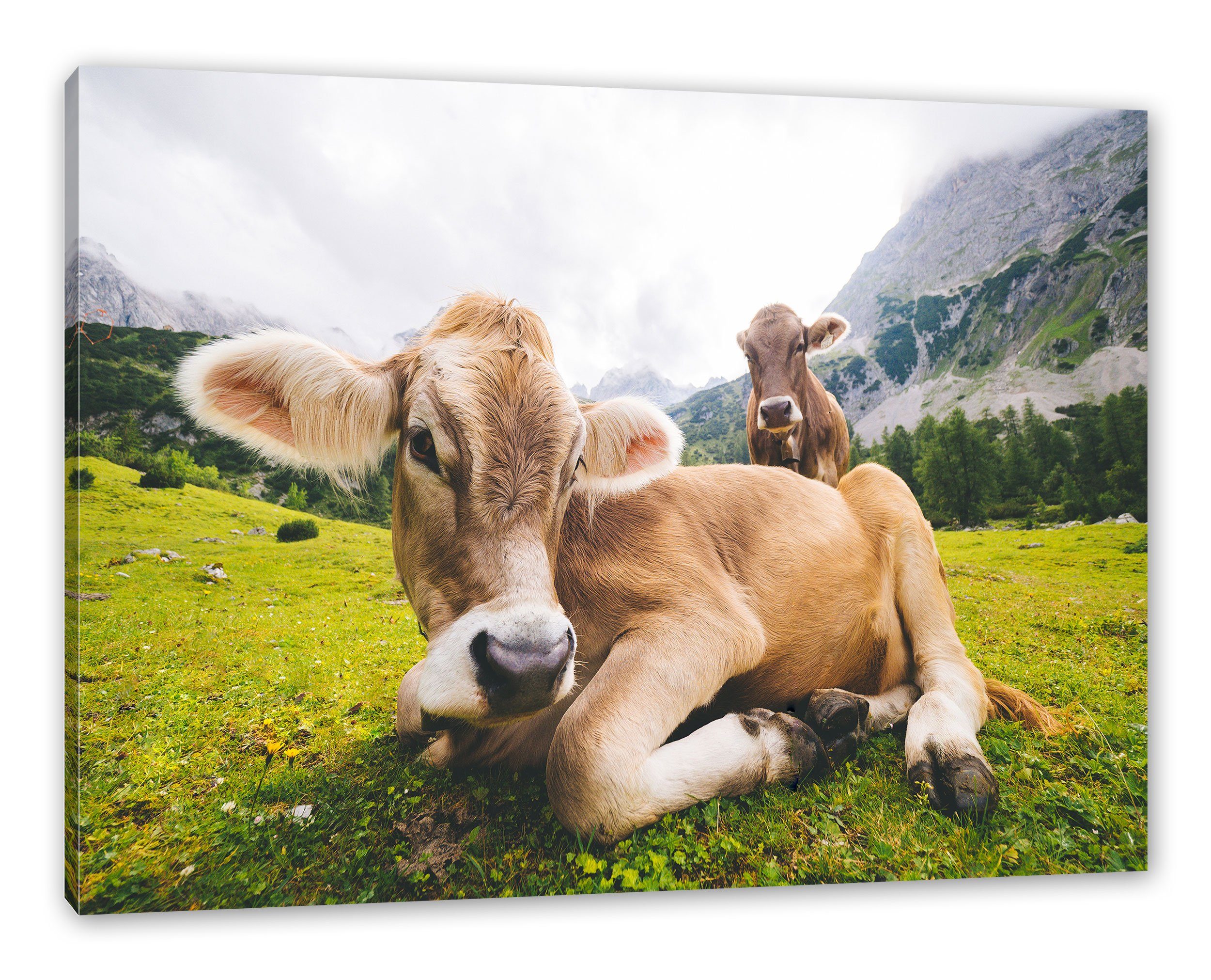 Pixxprint Leinwandbild Almkuh in den Bergen, Almkuh in den Bergen (1 St), Leinwandbild fertig bespannt, inkl. Zackenaufhänger