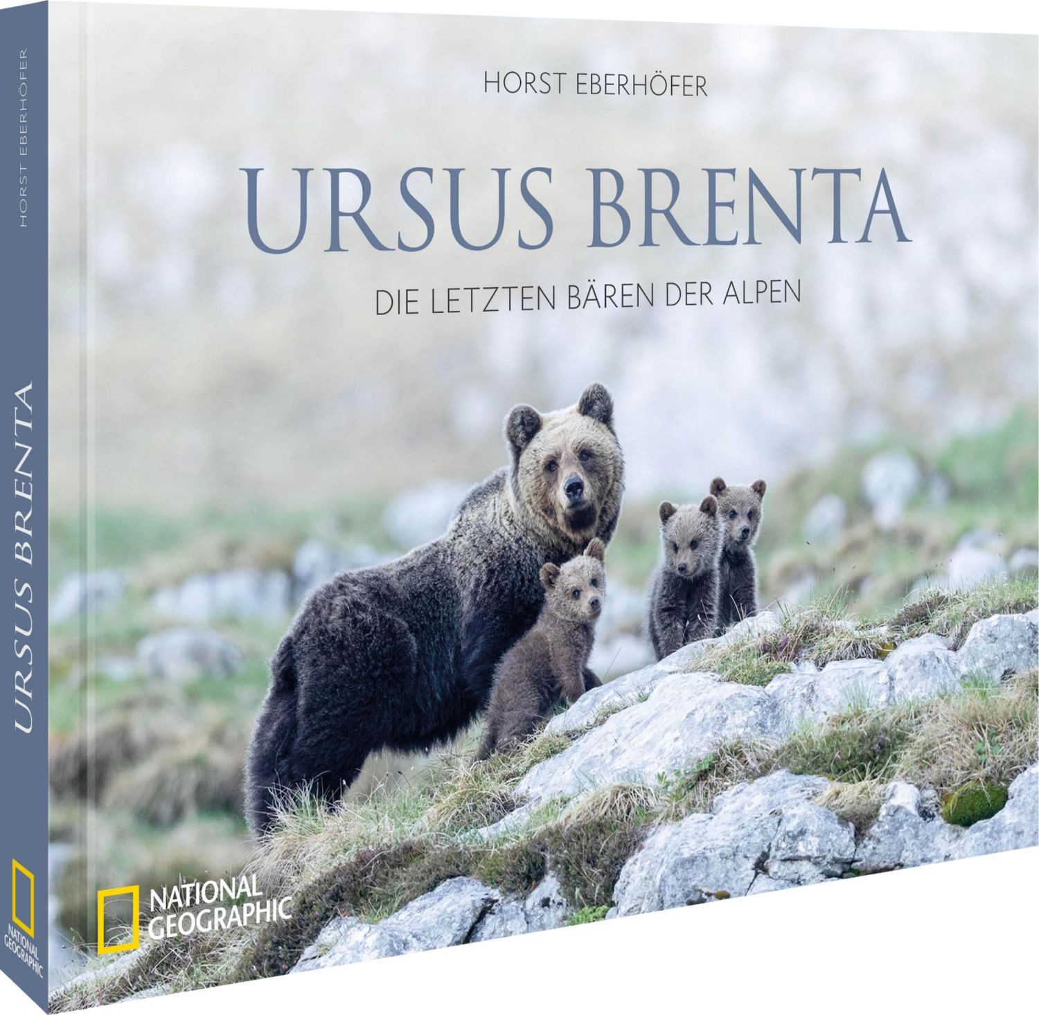 Ursus Brenta — Die Rückkehr der Bären in die Alpen / Horst Eberhöfer