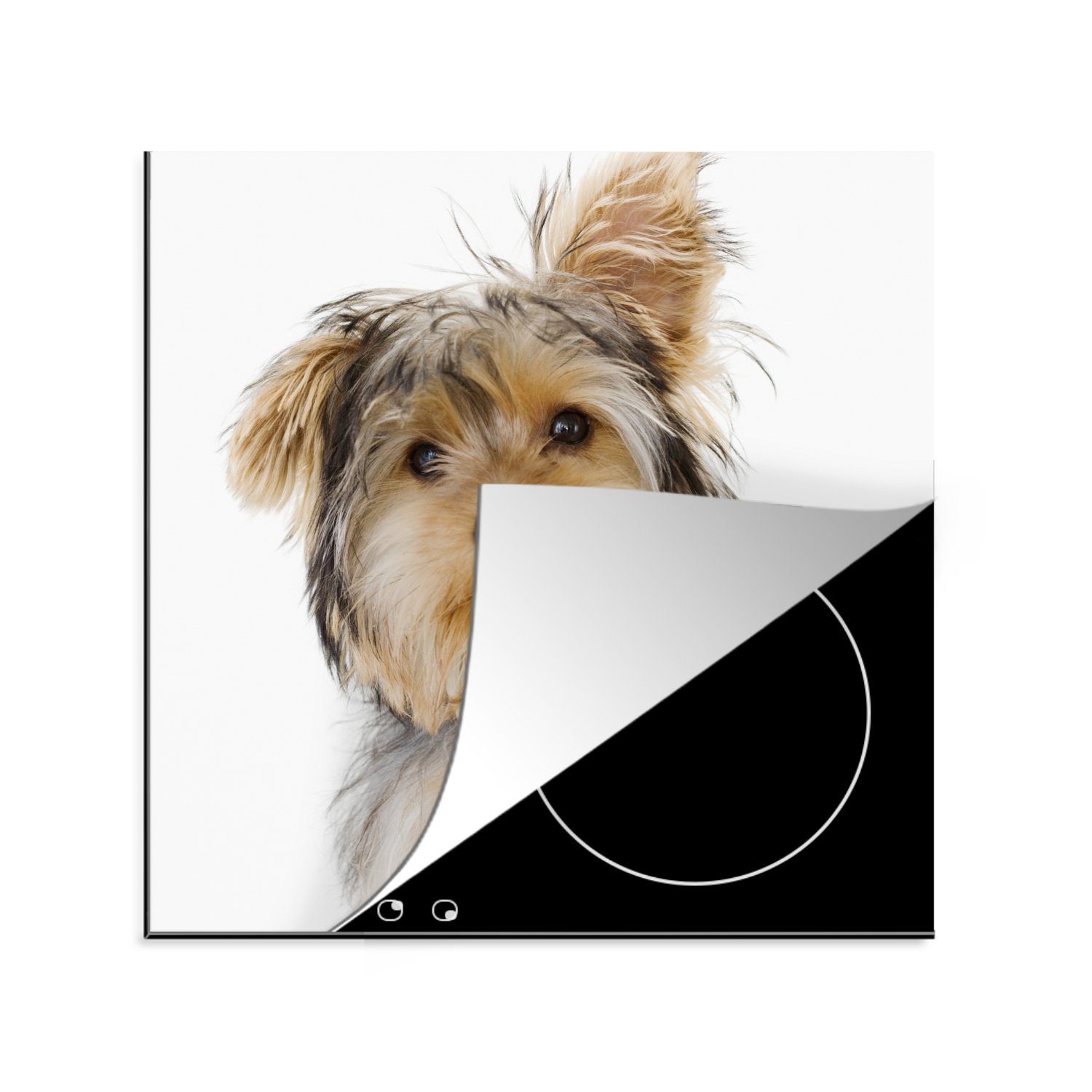 MuchoWow Herdblende-/Abdeckplatte Porträt eines Yorkshire-Terriers, Vinyl, (1 tlg), 78x78 cm, Ceranfeldabdeckung, Arbeitsplatte für küche