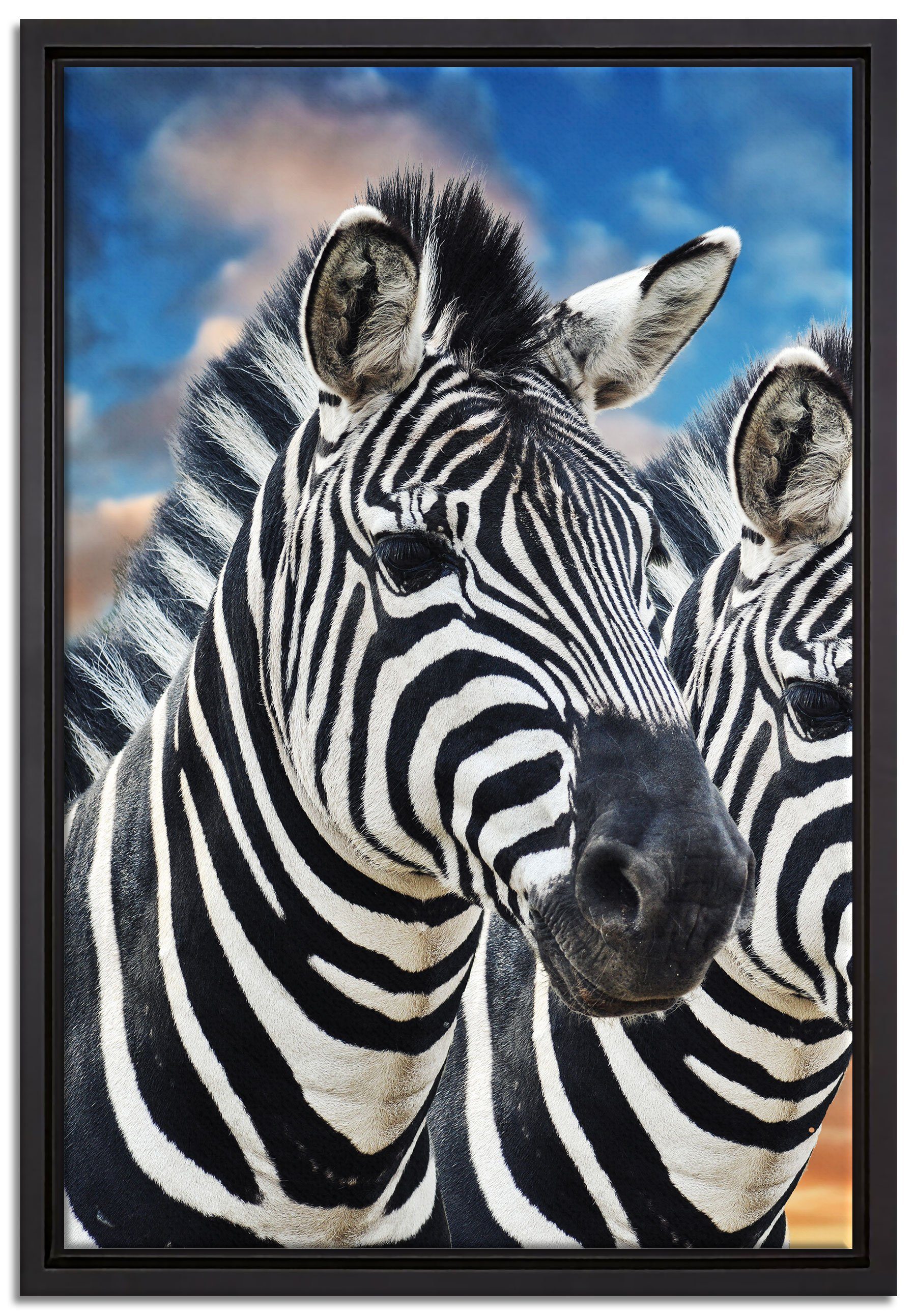 Pixxprint Leinwandbild Zebra Pärchen, Wanddekoration (1 St), Leinwandbild fertig bespannt, in einem Schattenfugen-Bilderrahmen gefasst, inkl. Zackenaufhänger