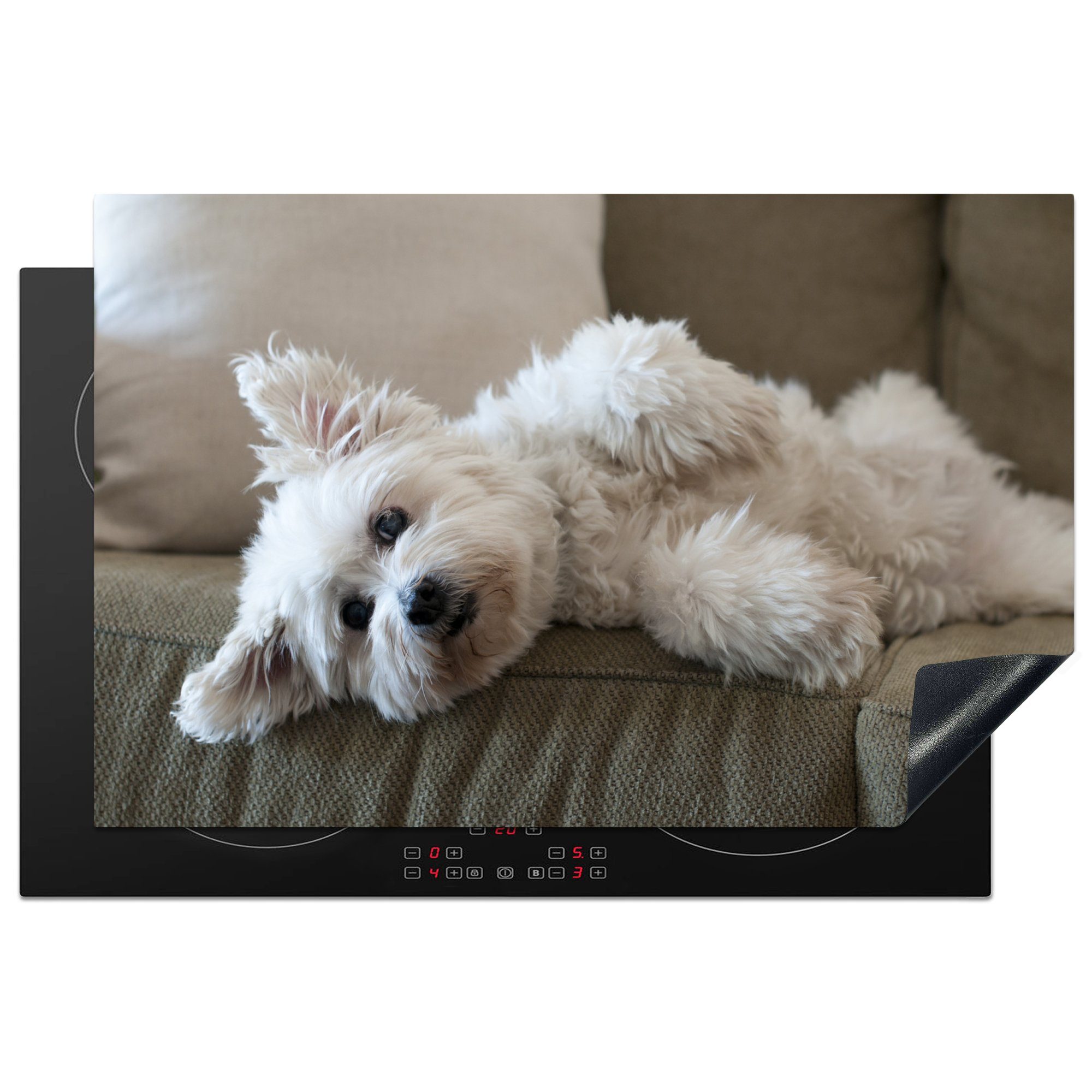 MuchoWow Herdblende-/Abdeckplatte Hund auf dem Sofa liegend, Vinyl, (1 tlg), 81x52 cm, Induktionskochfeld Schutz für die küche, Ceranfeldabdeckung