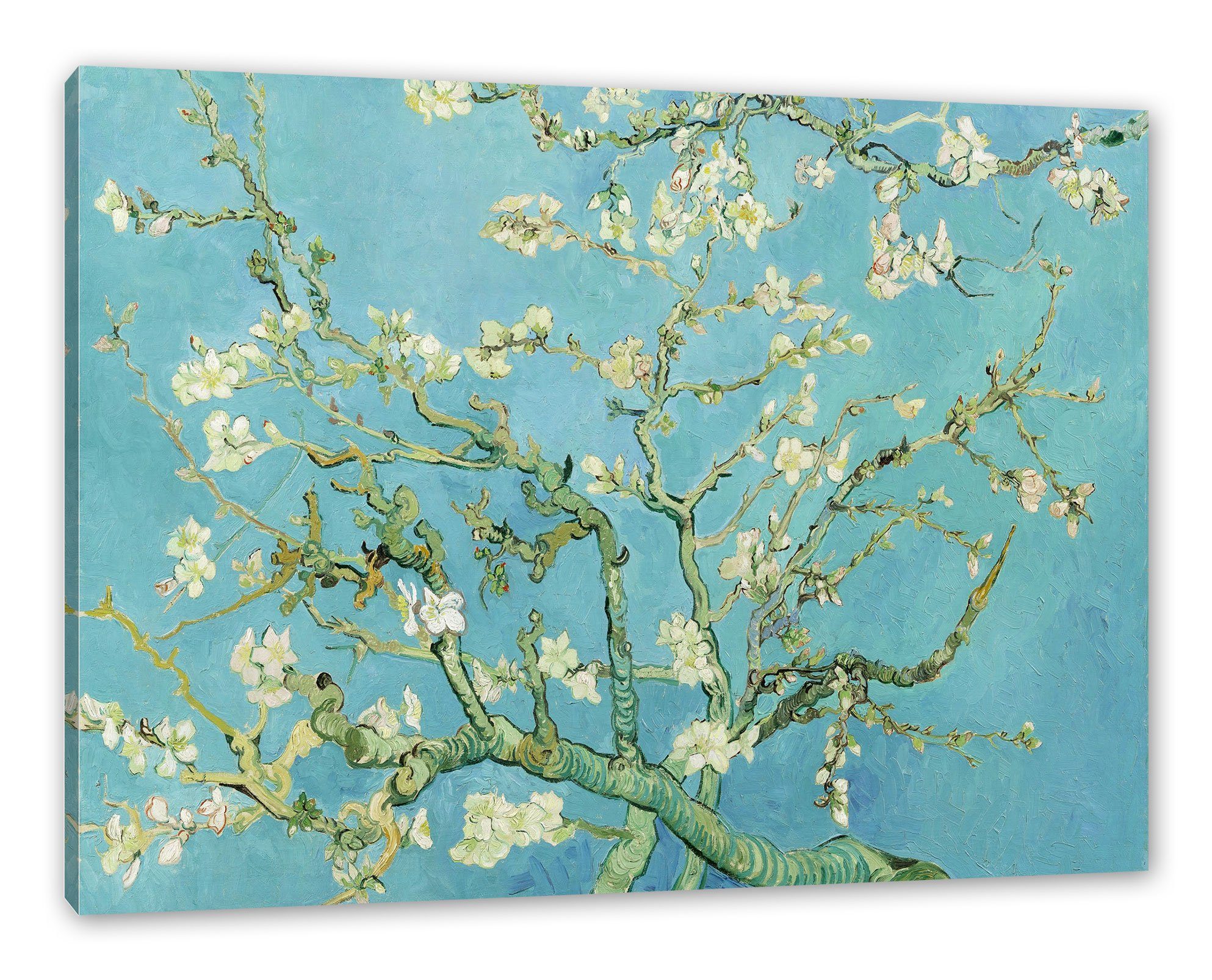 Pixxprint Leinwandbild Vincent Van Gogh - Mandelbaumzweige, Vincent Van Gogh - Mandelbaumzweige (1 St), Leinwandbild fertig bespannt, inkl. Zackenaufhänger