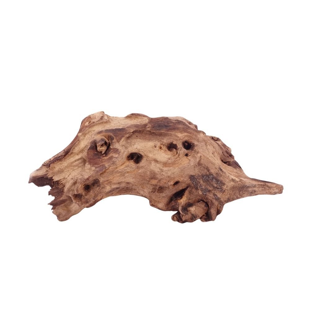 Aquaone Aquarium L Mopani Wurzel Nr.4699 Holz Deko Aquascaping