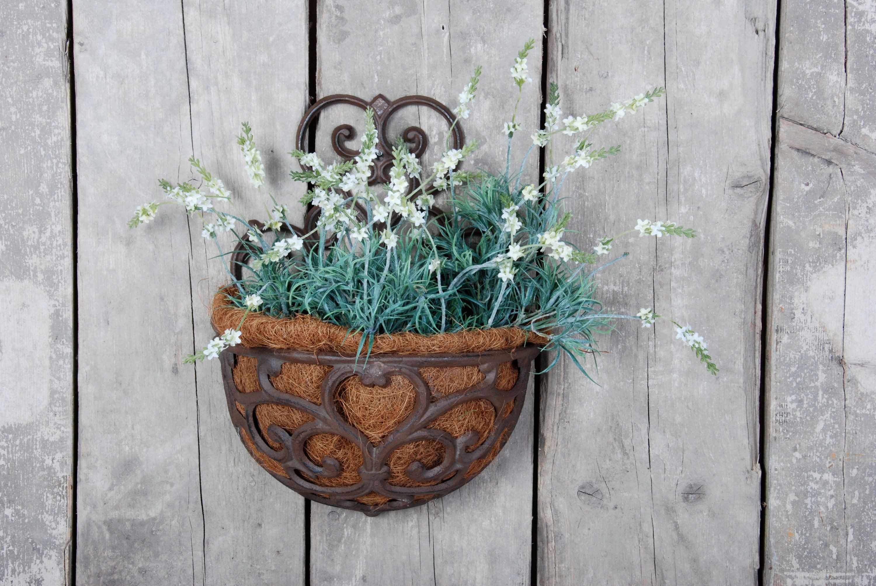 Dekowunder Übertopf Wandpflanzschale Pflanzen Blumenampel Gusseisen Kokoseinlage schwer