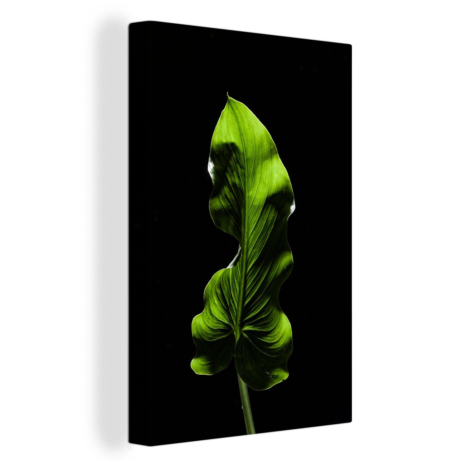 OneMillionCanvasses® Leinwandbild Ein grünes Blatt auf schwarzem Hintergrund, (1 St), Leinwandbild fertig bespannt inkl. Zackenaufhänger, Gemälde, 20x30 cm