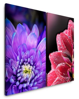 Sinus Art Leinwandbild 2 Bilder je 60x90cm Zinnien Blumen Blüten Sommer Zart Beruhigend Makrofotografie